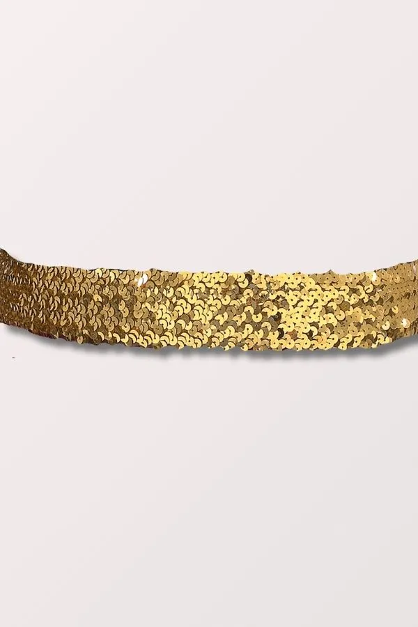 2 Inch Wide Sequin Elastic Belt - Gold