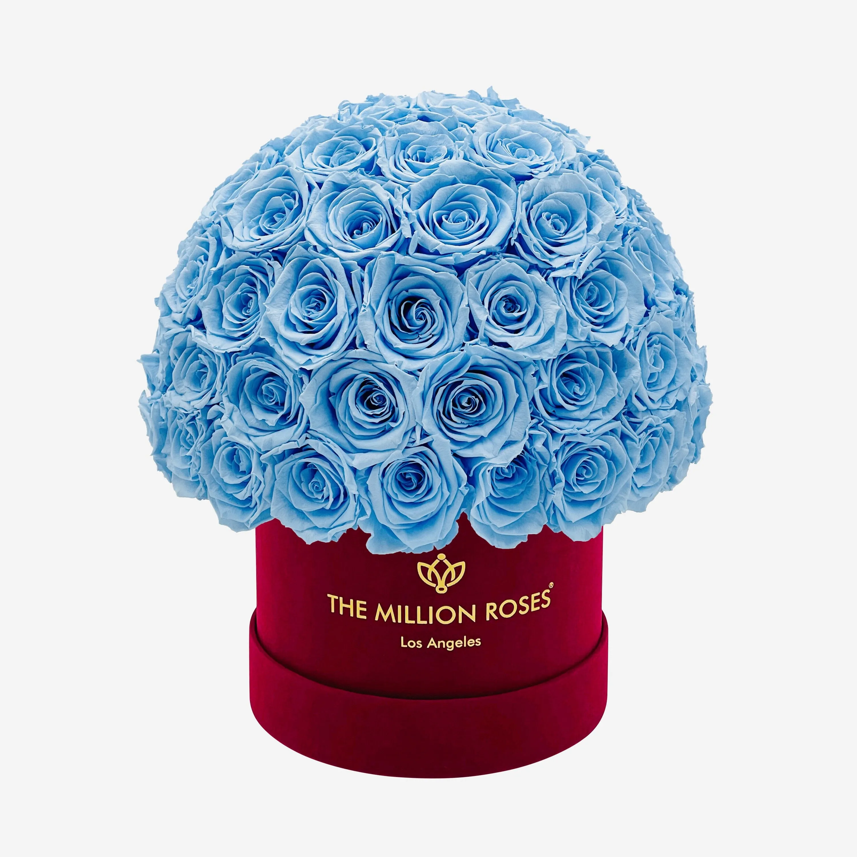 Classic Bordeaux Suede Superdome Box | Light Blue Roses