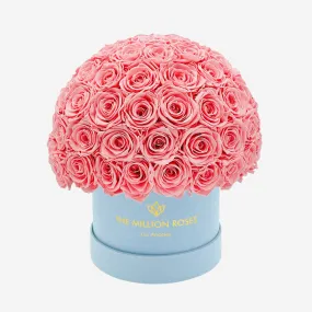 Classic Light Blue Suede Superdome Box | Light Pink Roses