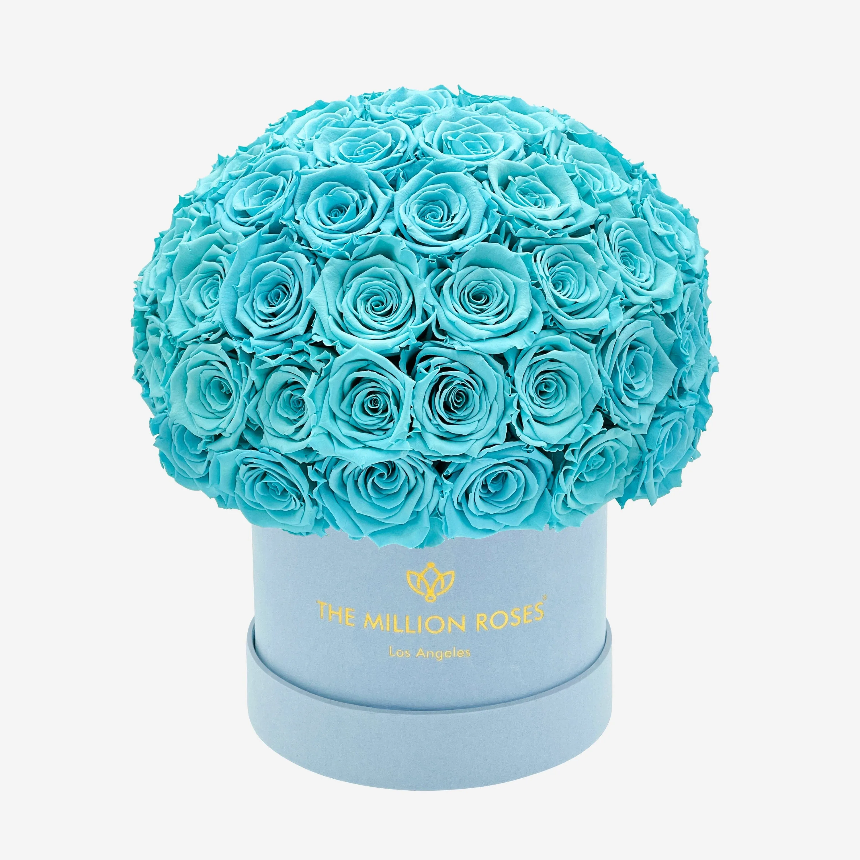 Classic Light Blue Suede Superdome Box | Turquoise Roses