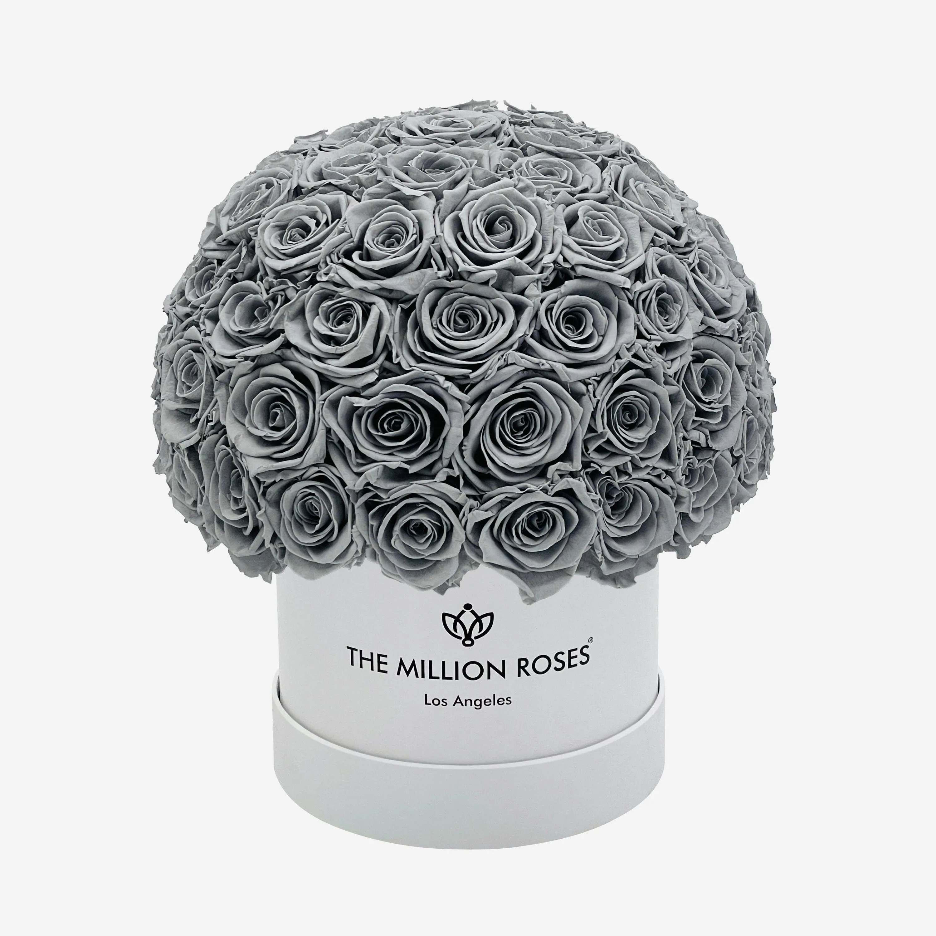 Classic White Superdome Box | Pastel Grey Roses