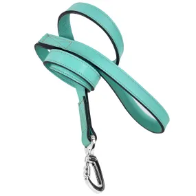 Georgia Rose Dog Leash in Turquoise & Nickel