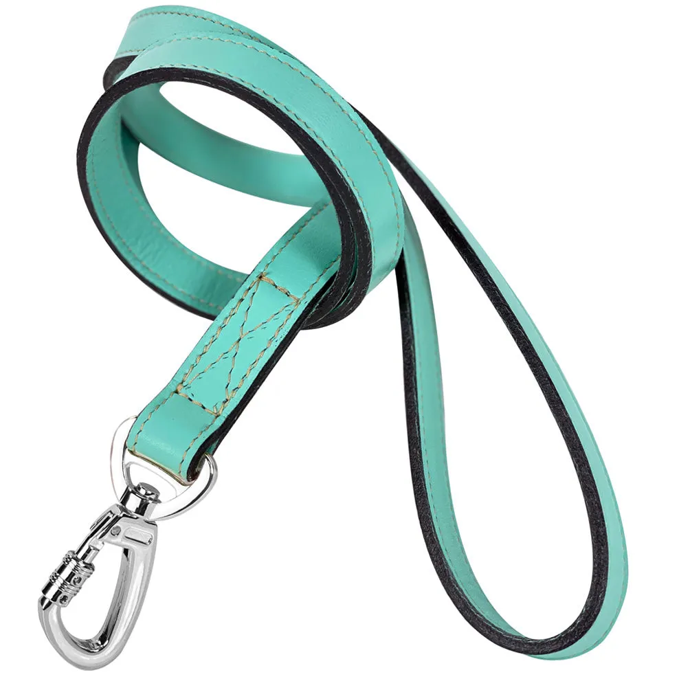 Georgia Rose Dog Leash in Turquoise & Nickel