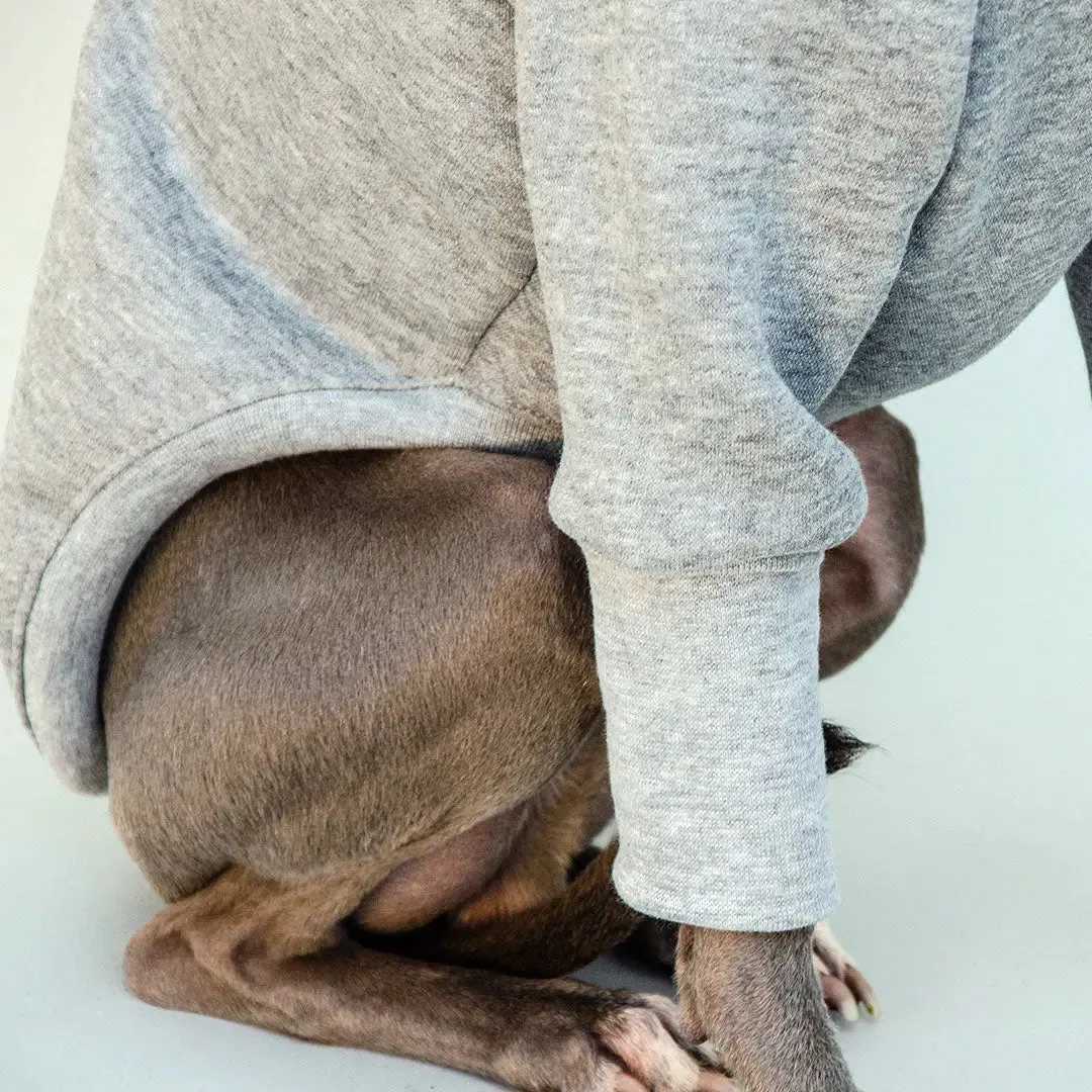 Hunde-Pulli "Winter-Sweater"
