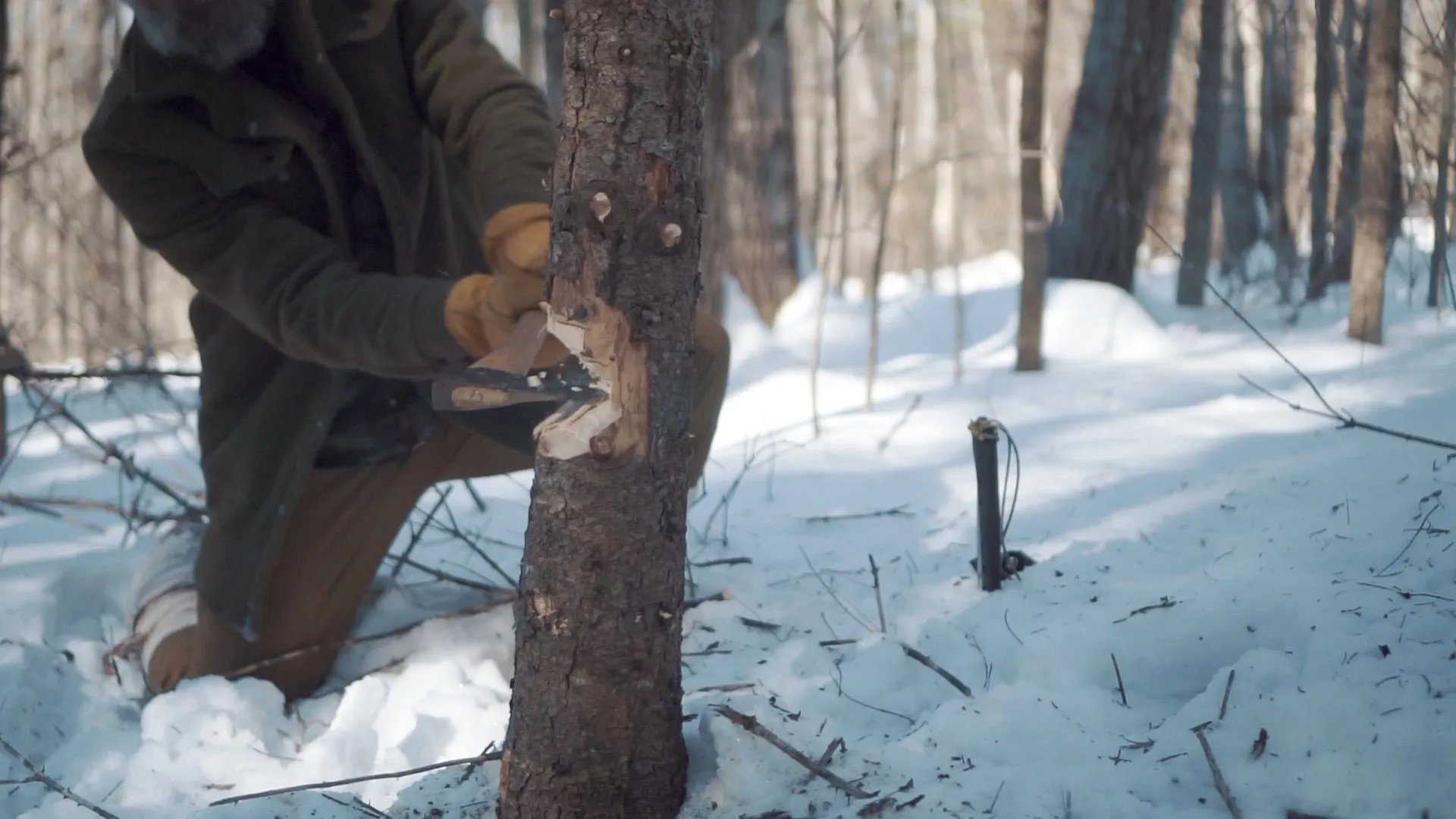 Into the Winter: Cold Weather Skills (USB Flash Drive)