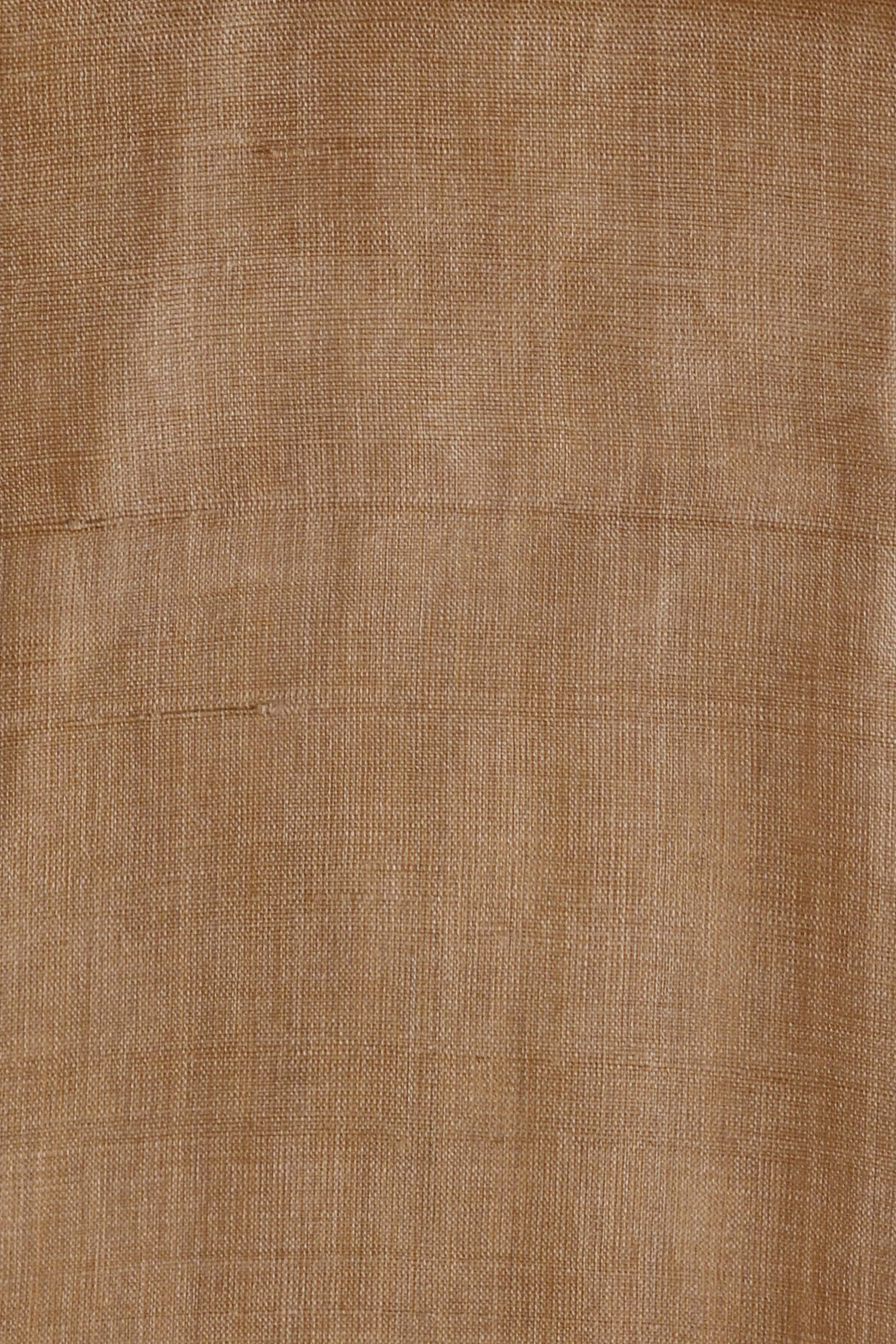 Pale Brown Saree